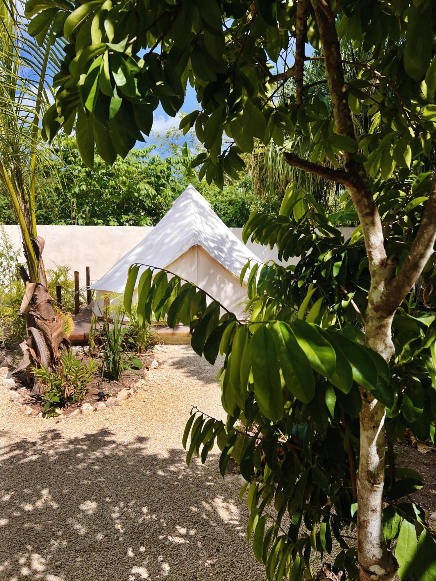Shamalay - Nomad Experience Hotell Bacalar Exteriör bild