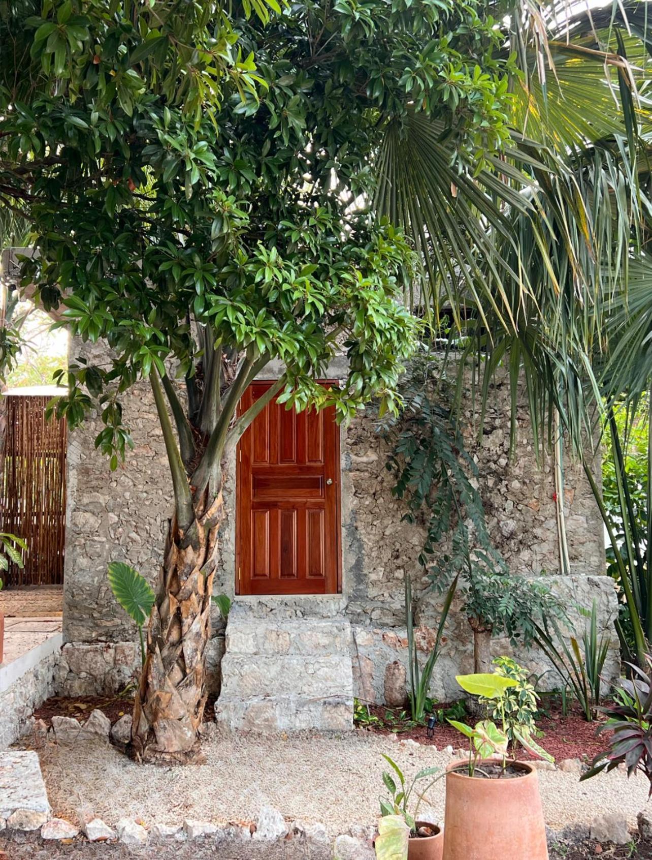 Shamalay - Nomad Experience Hotell Bacalar Exteriör bild