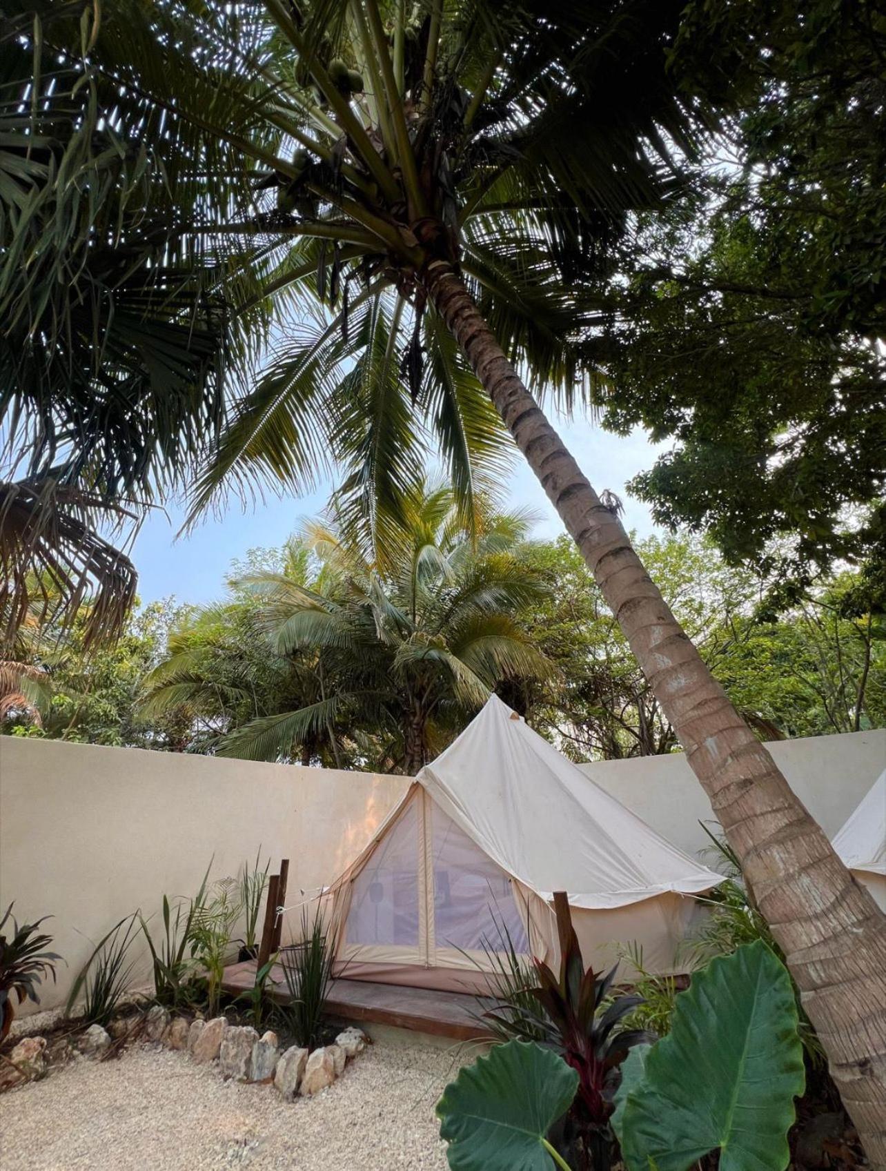 Shamalay - Nomad Experience Hotell Bacalar Exteriör bild